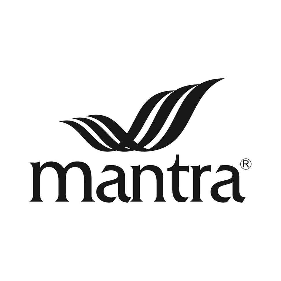 Developer Logo