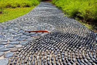  Reflexology Path